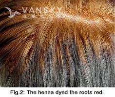 230809140400_Hair-Dying with henna-s.jpg